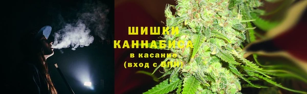 ПСИЛОЦИБИНОВЫЕ ГРИБЫ Михайловск