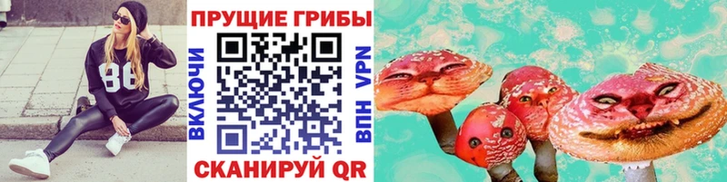Псилоцибиновые грибы GOLDEN TEACHER  Райчихинск 